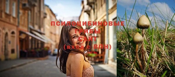 ГАЛЛЮЦИНОГЕННЫЕ ГРИБЫ Абдулино