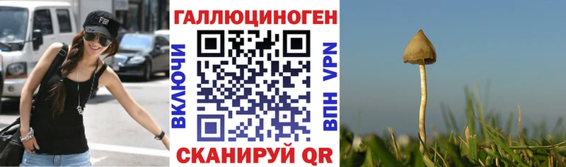 Псилоцибиновые грибы мухоморы  MEGA как войти  Нелидово 